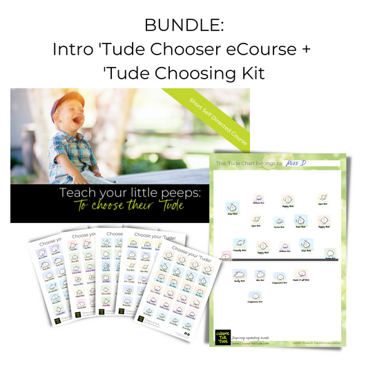 'Tude Chooser Intro eCourse + 'Tude Chooser Kit